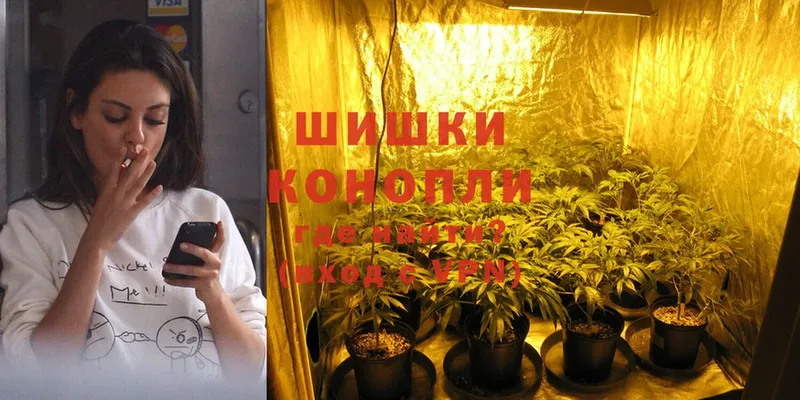 Конопля OG Kush  Люберцы 